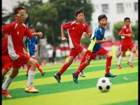 意大利vs比利时免费直播_意大利vs比利时免费高清直播_意大利vs比利时直播在线无插件